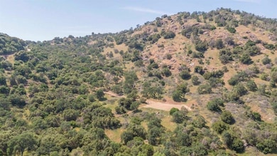 0 Ruth Hill Rd unit 616689, Squaw Valley, CA 93675 - photo 5