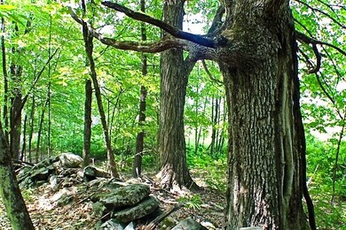 0 Welcome Hill Rd unit 4809956, Chesterfield, NH 03466 - photo 4