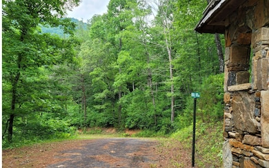 Additional View