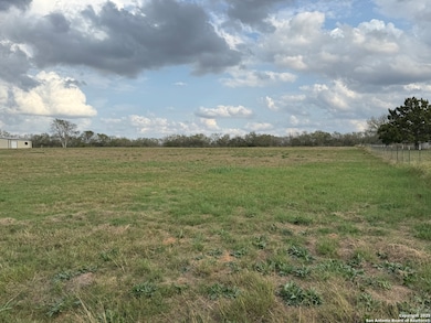 13208 Adkins Saint Hedwig Rd, Saint Hedwi1, TX 78152 - photo 4