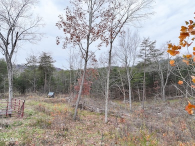 750 Tom White Hollow Rd, Mohawk, TN 37810 - photo 6