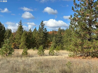 1 Garrison Rd, Goldendale, WA 98620 - photo 6