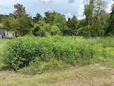 15898 Cypress Point Ln, French Settlement, LA 70733 - photo 7