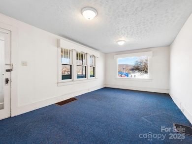 71 Lower Glady Fork Rd, Candler, NC 28715 - photo 7