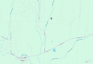 0 Bodega Hwy, Sebastopol, CA 95472 - photo 5