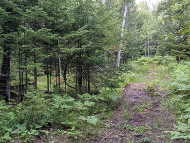 Gorman Rd 3.4 acres (1)
