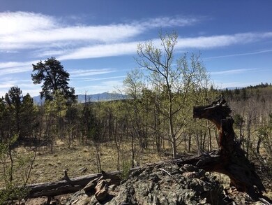 82 Rawhide Ct, Como, CO 80432 - photo 2