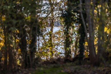 Follins Pond View