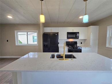 156 Mallard St, Golden, CO 80401 - photo 3