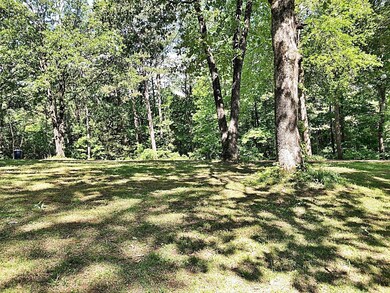 14 County Road 224, Oxford, MS 38655 - photo 4