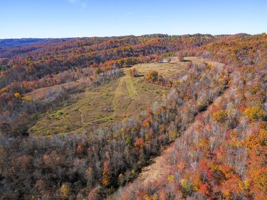 TBD Kentucky 377, Trinity, KY 41179 - photo 7