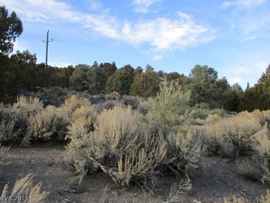 0 Nevada Hwy 322 (9 86 Ac) unit 2569952, Pioche, NV 89043 - photo 7