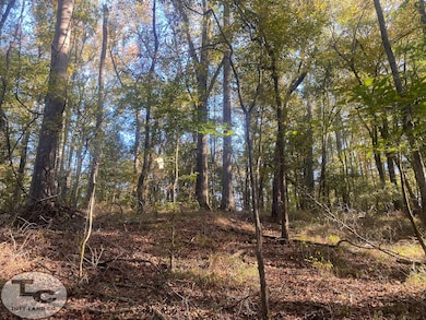 2081 Gallatin St, Hazlehurst, MS 39083 - photo 2