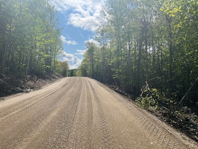 Lot 7 Jesses Beach Way, Ellsworth, ME 04605 - photo 7