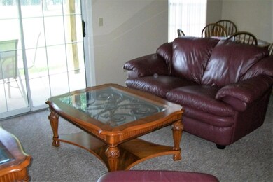 17 Fall Creek Trail, Branson, MO 65616 - photo 4