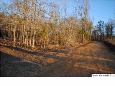 Property has over 700 foot of road frontage.