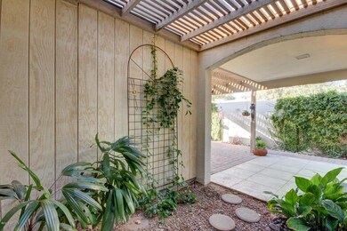 Backyard Patio 2