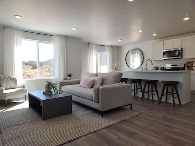 Kitchen-Living Area