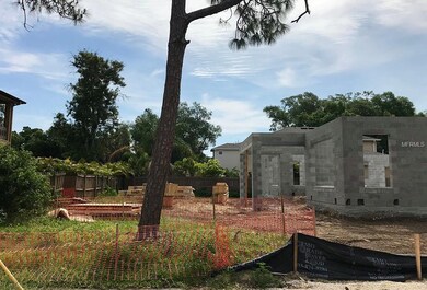 4119 W Vasconia St, Tampa, FL 33629 - photo 4