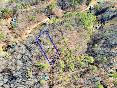 TBD Rockinghorse Trail unit Tract 3, Burnsville, NC 28714 - photo 5