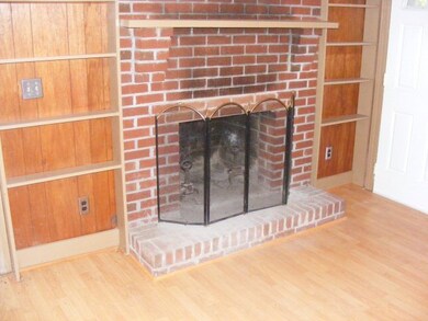 Fireplace in Den