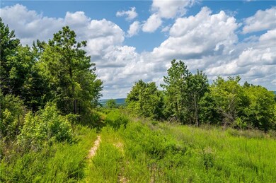 0 Lot 113 Lookout Pine Cir, Broken Bow, OK 74728 - photo 3
