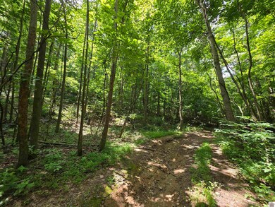 00 Pecan Dr, Cadiz, KY 42211 - photo 3