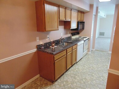 1663 Langley Dr unit 9, Hagerstown, MD 21740 - photo 2