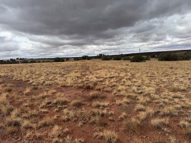 0 County Rd unit 25705421, Concho, AZ 85924 - photo 3