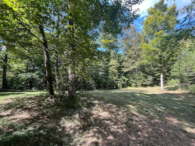 0 Old Sulphur Spring Rd, Columbia, KY 42728 - photo 3