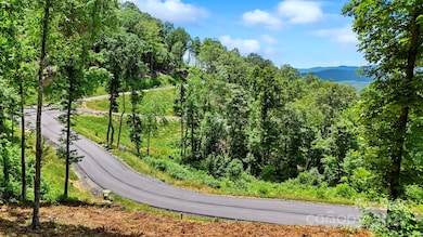 Lot 27 Summit View Pkwy, Spruce Pine, NC 28777 - photo 4