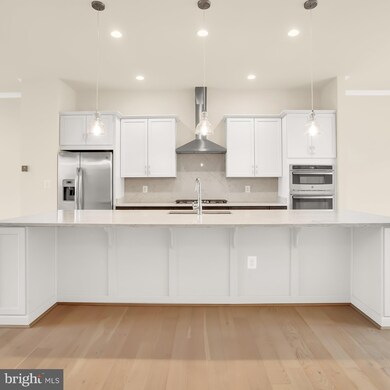 23580 Belvoir Woods Terrace, Ashburn, VA 20148 - photo 5