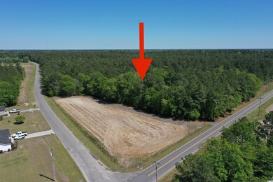 TBD Costie Allen Rd, Aynor, SC 29511 - photo 6