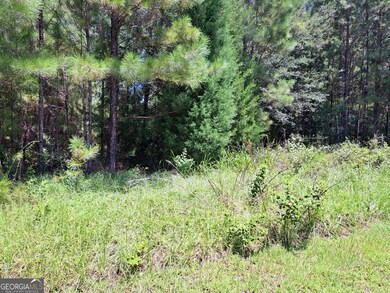 0 Shoreline Dr unit 10570833, Kingsland, GA 31548 - photo 6