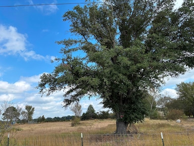 2443 Farm To Market Road 1653, Ben Wheeler, TX 75754 - photo 2