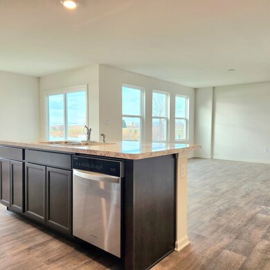 409 Monte Carlo Way, Joliet, IL 60436 - photo 4