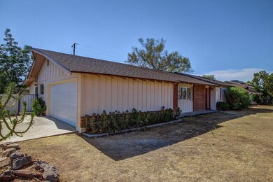 0003-Delmar (3)