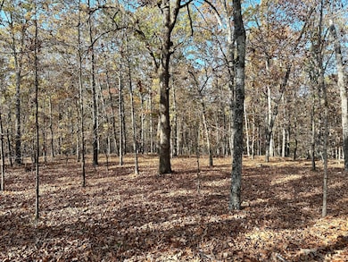 000 Route Z Hwy, van Buren, MO 63965 - photo 2