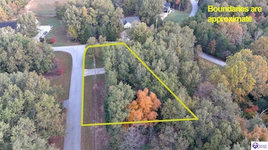 15 Catbird Rd, Brandenburg, KY 40108 - photo 7