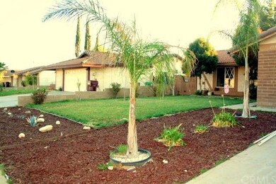 New Landscaped Front Yard!
