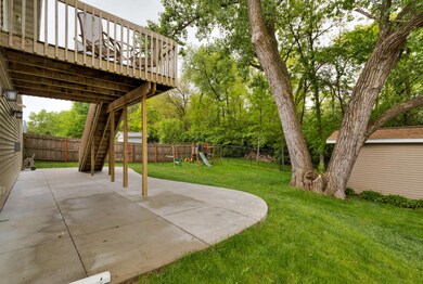 Back Yard 2