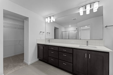Owner's Bath