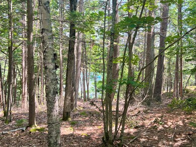 Lot A Mountain Rd, West Bath, ME 04530 - photo 5