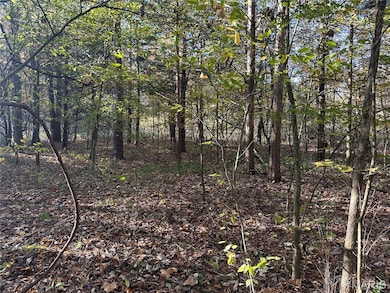 00 County Road 4, Belleview, MO 63623 - photo 2