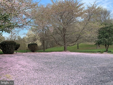 7583 Old Carters Mill Rd, Marshall, VA 20115 - photo 7