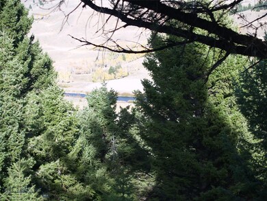View of Madison River
