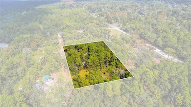 419 N Florene Point, Crystal River, FL 34429 - photo 2