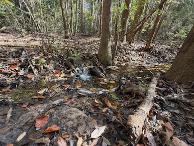 10075 Youngstowne Dr, Semmes, AL 36575 - photo 3