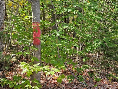 059-007 Soper's Mill Rd, Auburn, ME 04210 - photo 6