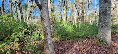 3 LOTS Ridgecrest Dr, Blue Ridge, GA 30513 - photo 2